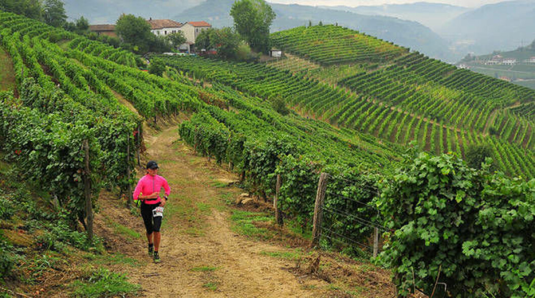Trail de muscato