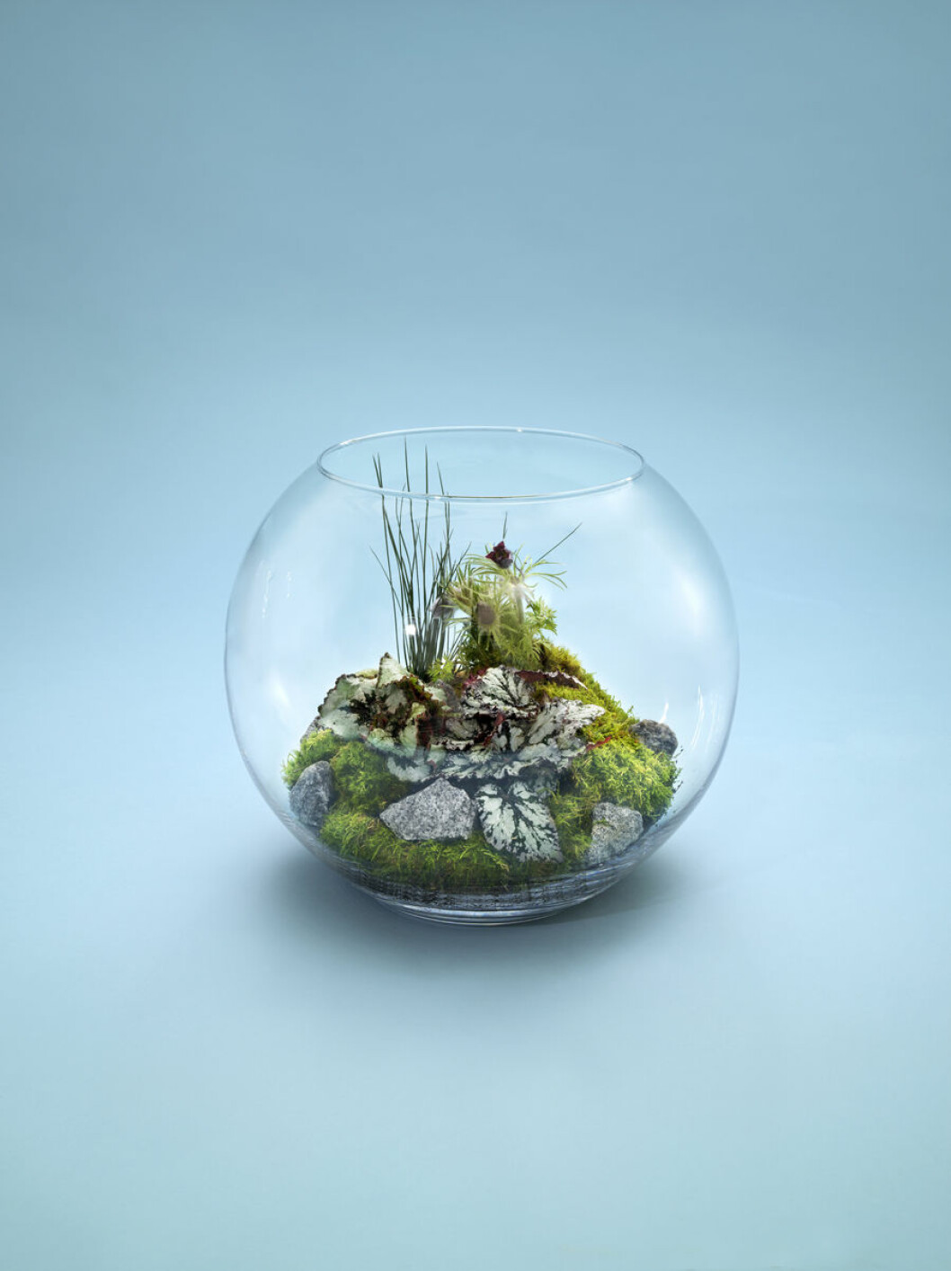 Smart terrarieodling