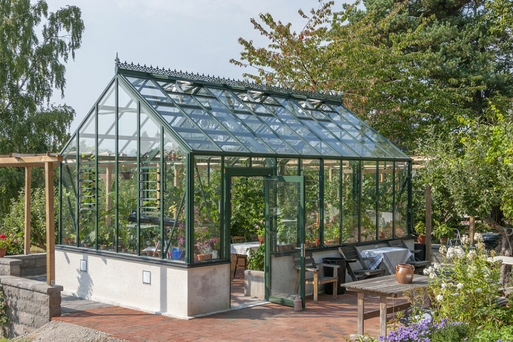 Ett växthus eller ett orangeri förlänger sommaren och är en favorit i trädgården. Foto: Garden & Greenhouse Växthus och orangeri ger en lång sommar i trädgården