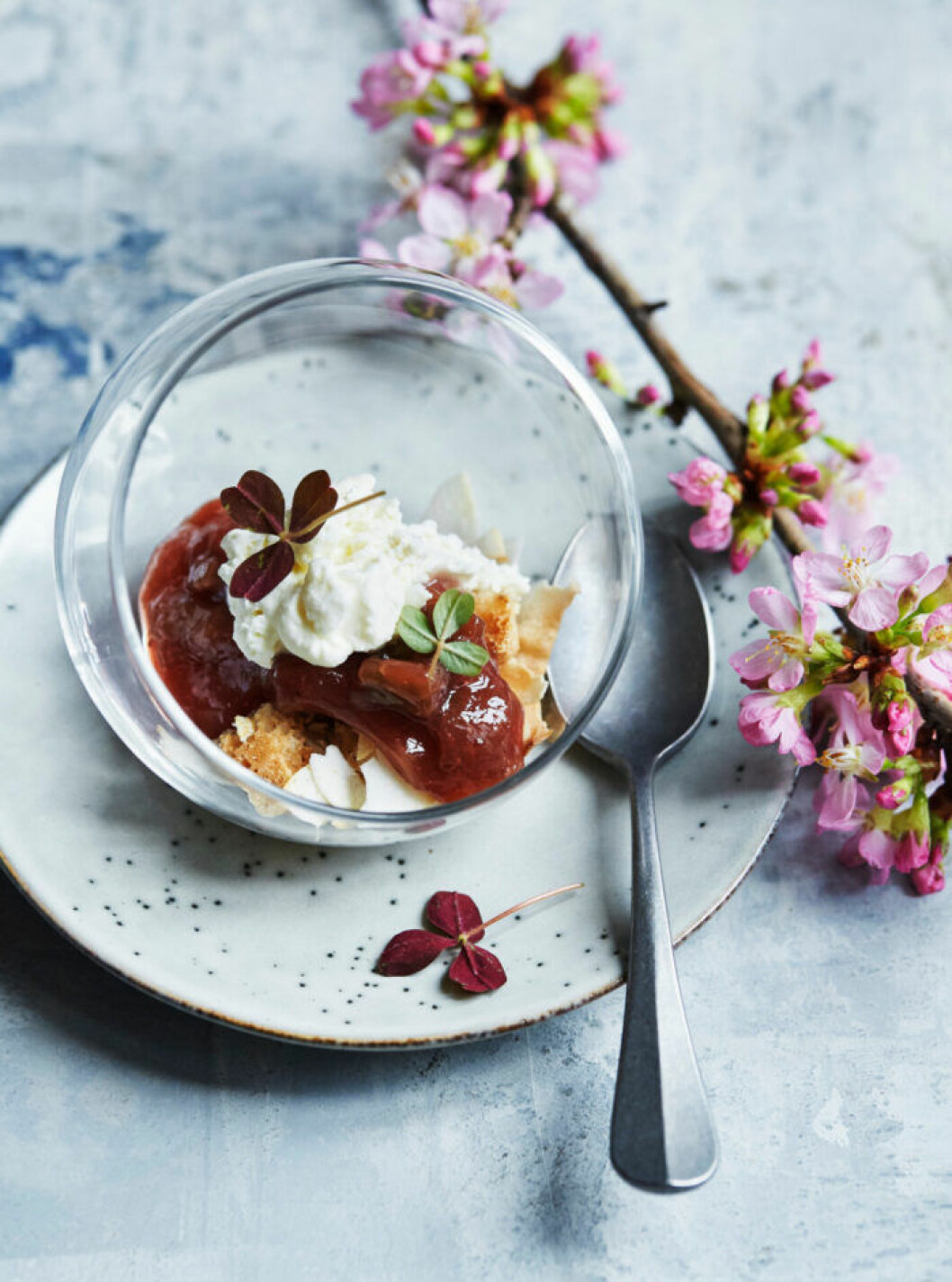 Trifle med rabarber. Trifle med rabarber