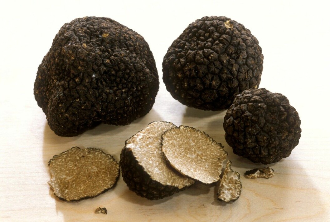 tryffel