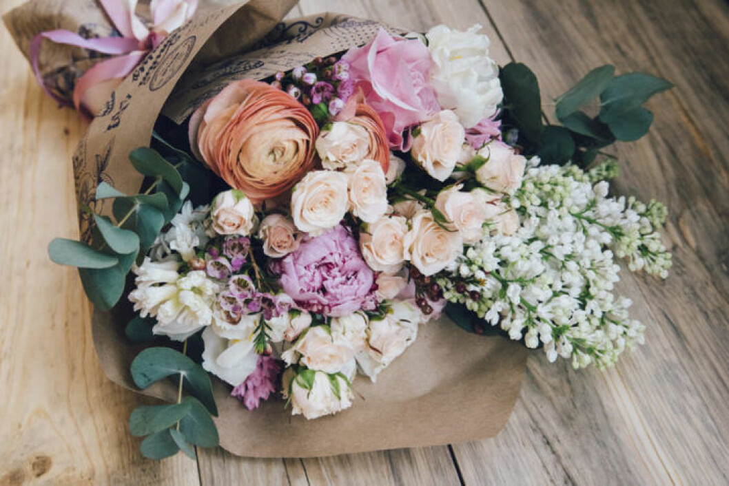 Förläng snittblommornas livslängd med hjälp av hårsprej. Bild: Shutterstock/IBL Bildbyrå Förläng snittblommornas livslängd med hjälp av hårsprej.