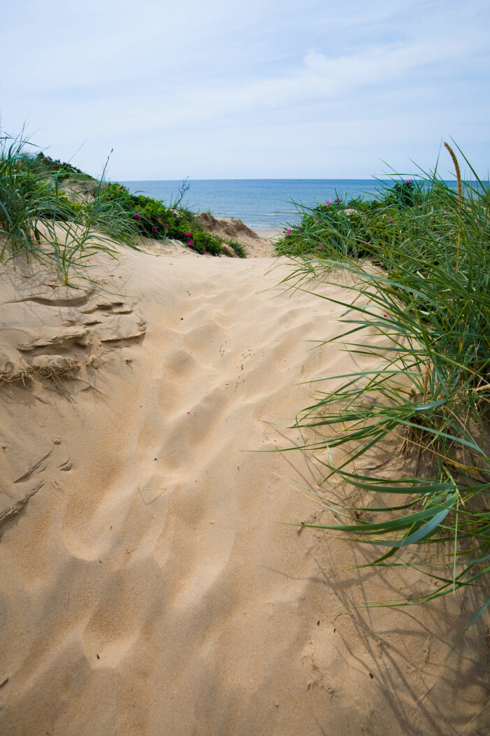 Foto: TT Ugglarp strand, resetips