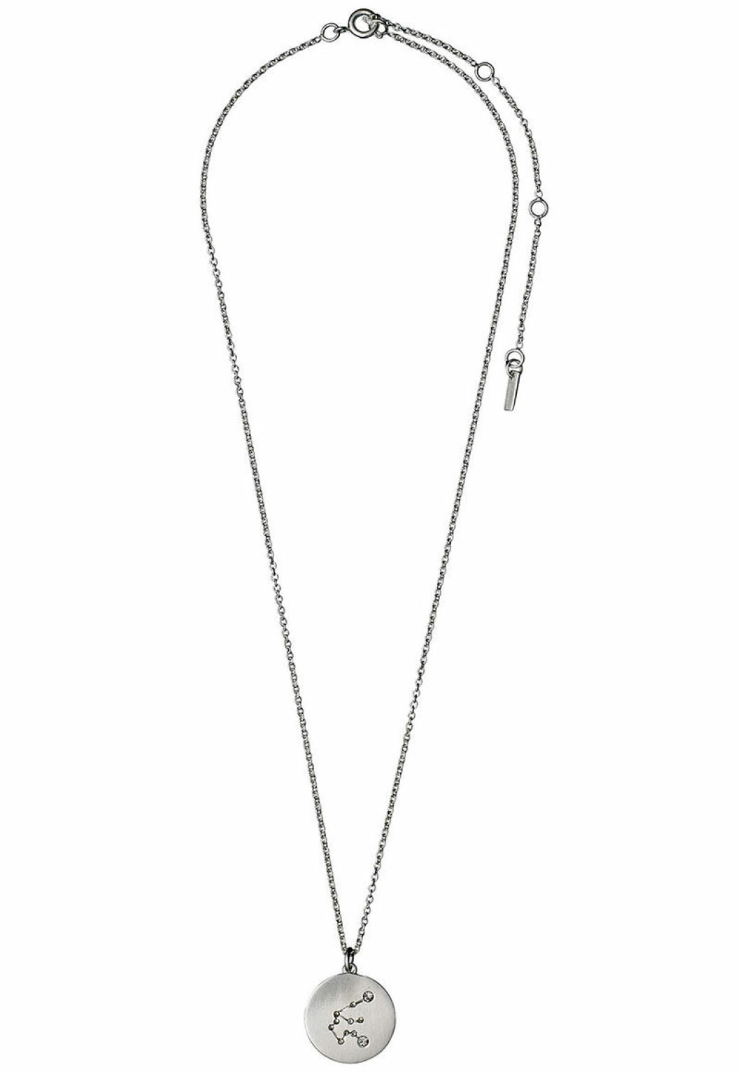 Vattumannen horoskop halsband i silver