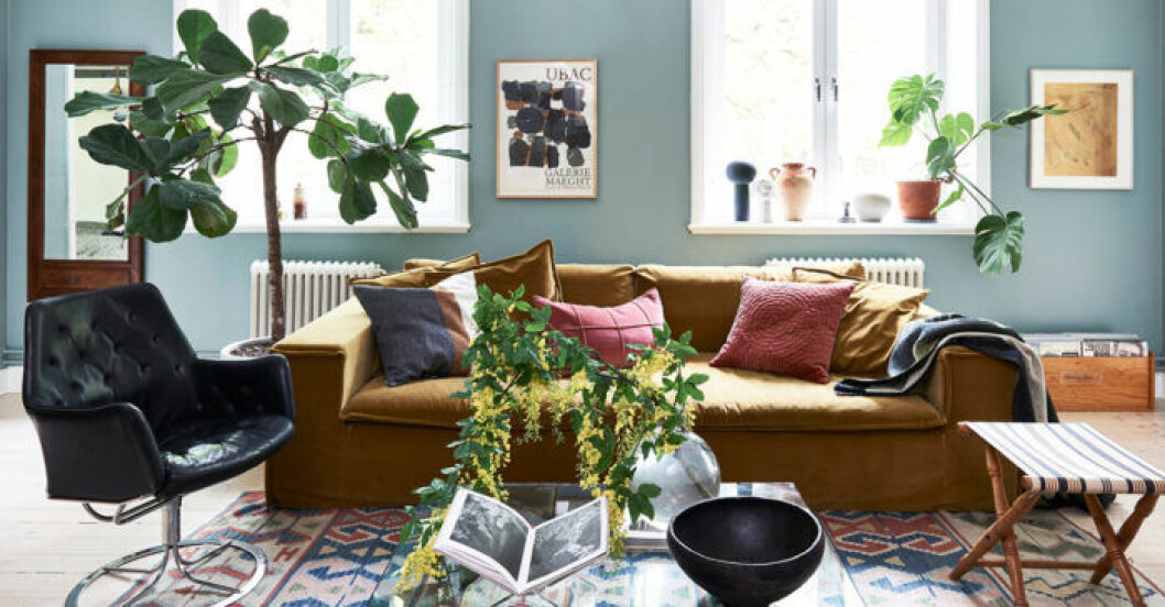 Växter gör verkligen stor skillnad för intrycket i hemmet. Foto: James Stokes Styling: Maria Nordin Syns i: <a href="https://www.elle.se/decoration/bohemiskt-och-naturnara-hemma-hos-sofia-wood/" target="_blank" rel="noopener">”Bohemiskt och naturnära hemma hos Sofia Wood”</a> Trendiga växter 2019