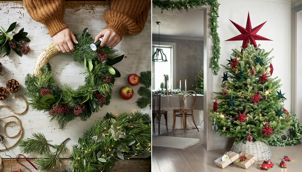 växter och blommor som är trendiga julen 2020