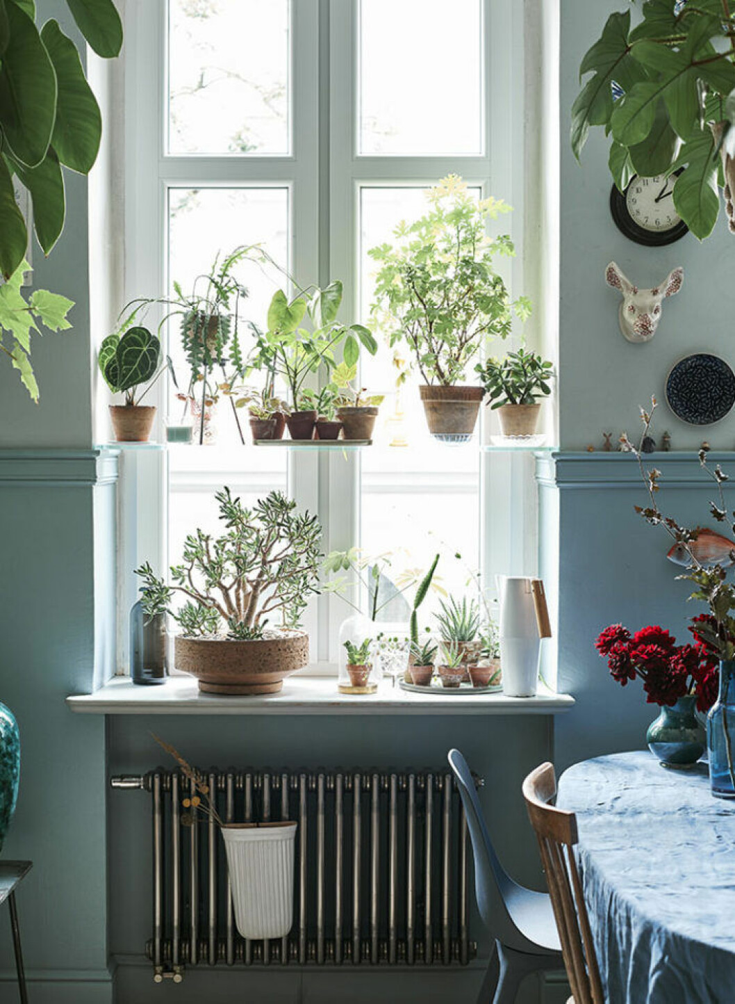 Foto:<a href="https://livethemma.ikea.se" target="_blank" rel="noopener"> Ikea/Livet hemma</a> En luftfuktare är ett bra tips för växter