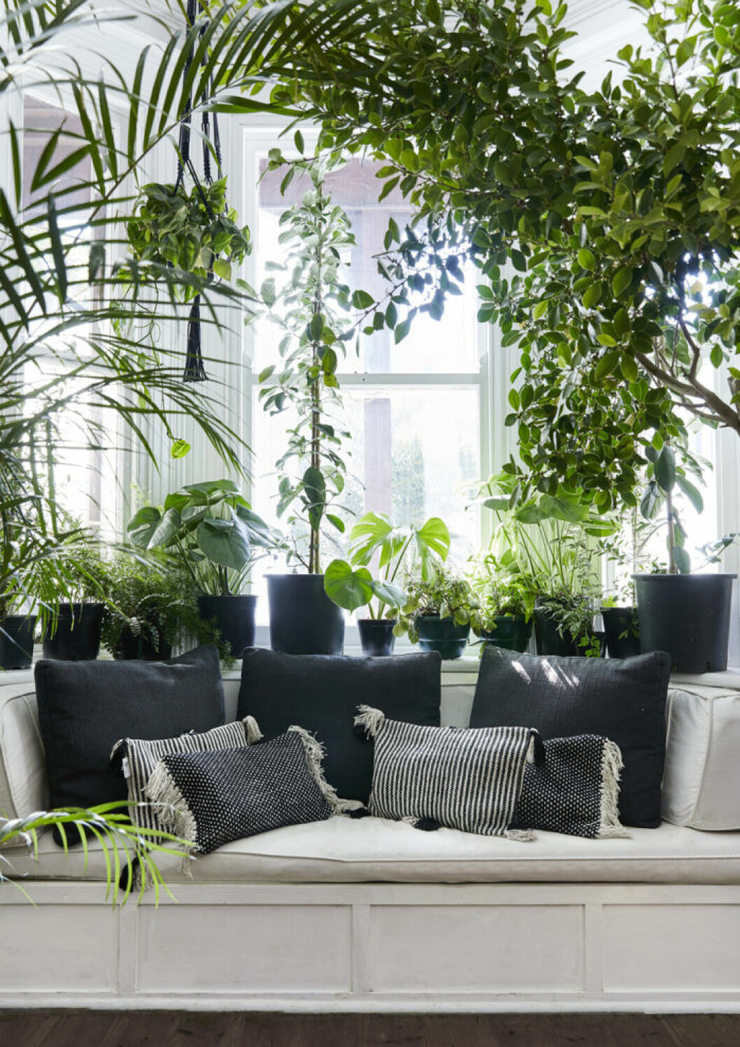 Gruppering för maximalisten! Foto: Warren Heath/Bureaux, stylist: Janine Vermeulen/foraged.co.za. Syns i: <a href="https://www.elle.se/decoration/nya-satt-att-inreda-med-vaxter-trend-2018/" target="_blank" rel="noopener">”7 trendiga sätt att inreda med växter”</a> Växttrender 2019