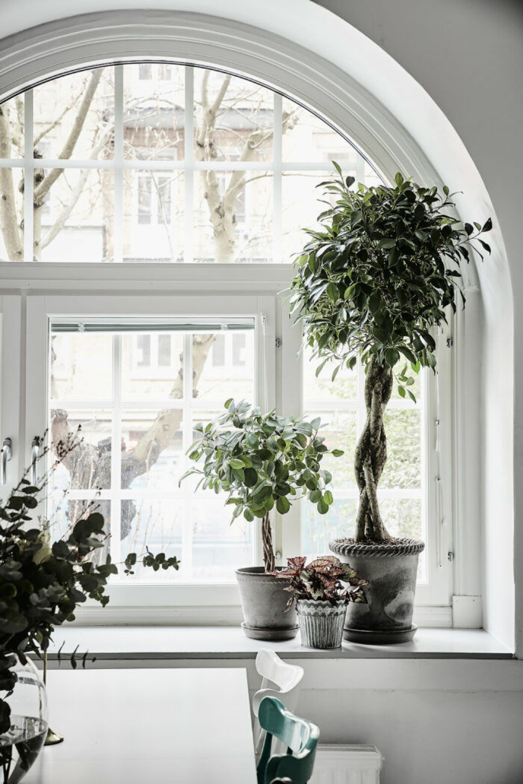 Gruppering för den som gillar mer minimalistiskt! Foto: Anders Bergstedt för Entrance, stylist: Malin Simson. Syns i: <a href="https://www.elle.se/decoration/veckans-dromhem-vackra-fonster-och-elegant-lantkok/" target="_blank" rel="noopener">”Vackra fönster och pampigt lantkök”</a> Växttrender 2019