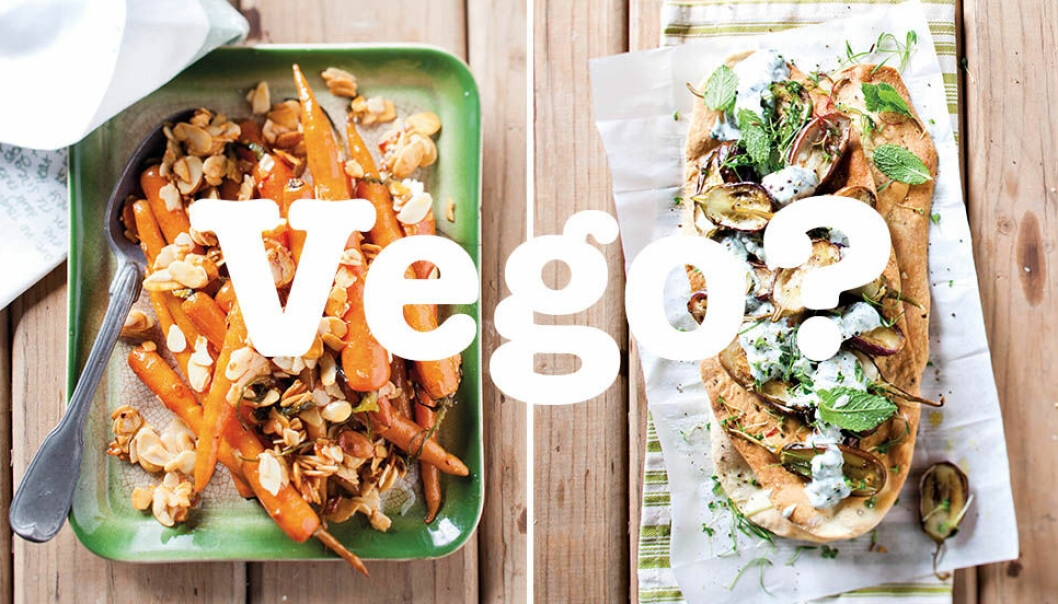 Vegetarian, vegan & lakto-ovo, vad är skillnaden?