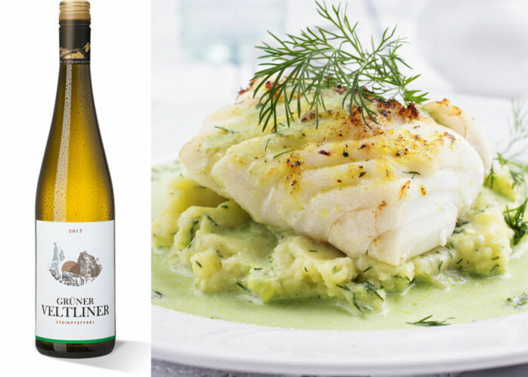 Steinpfefferi Grüner Veltliner passar till torskrygg. Steinpfefferi Grüner Veltliner passar till torskrygg.