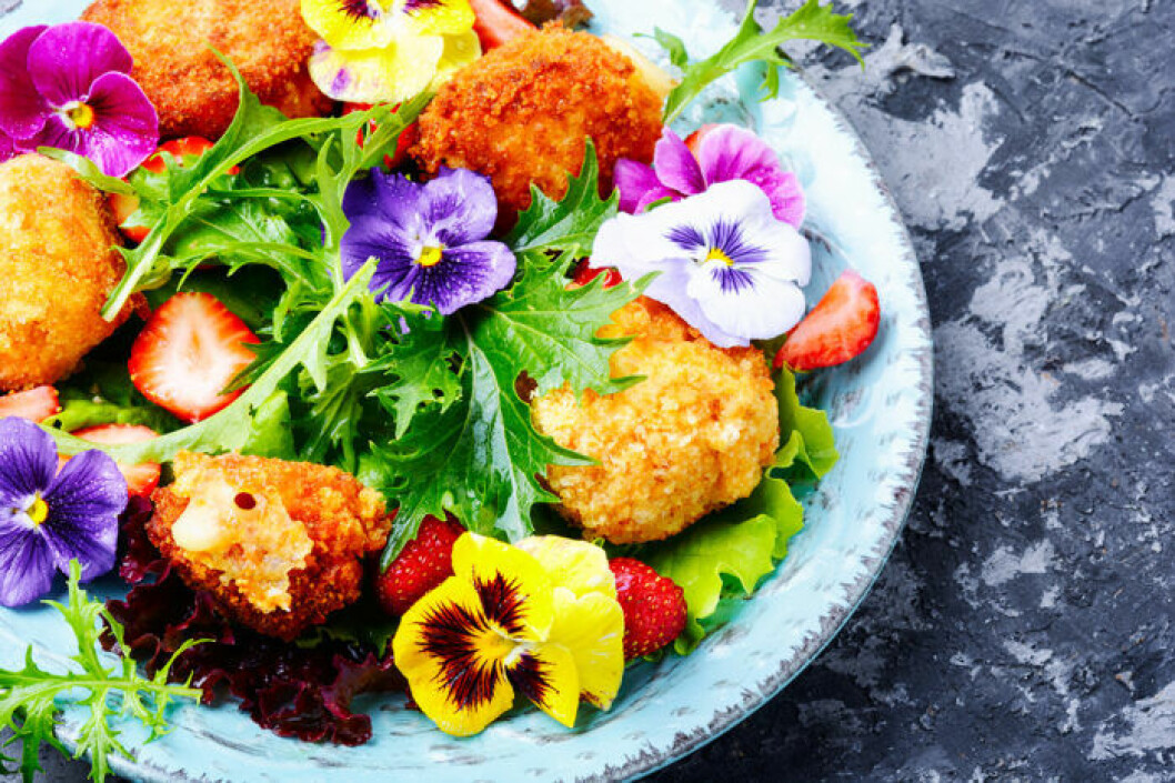 Gör en sallad med violer och penséer. Foto: Shutterstock Gör en sallad med violer och penséer.