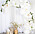 vit ballongbåge bröllop