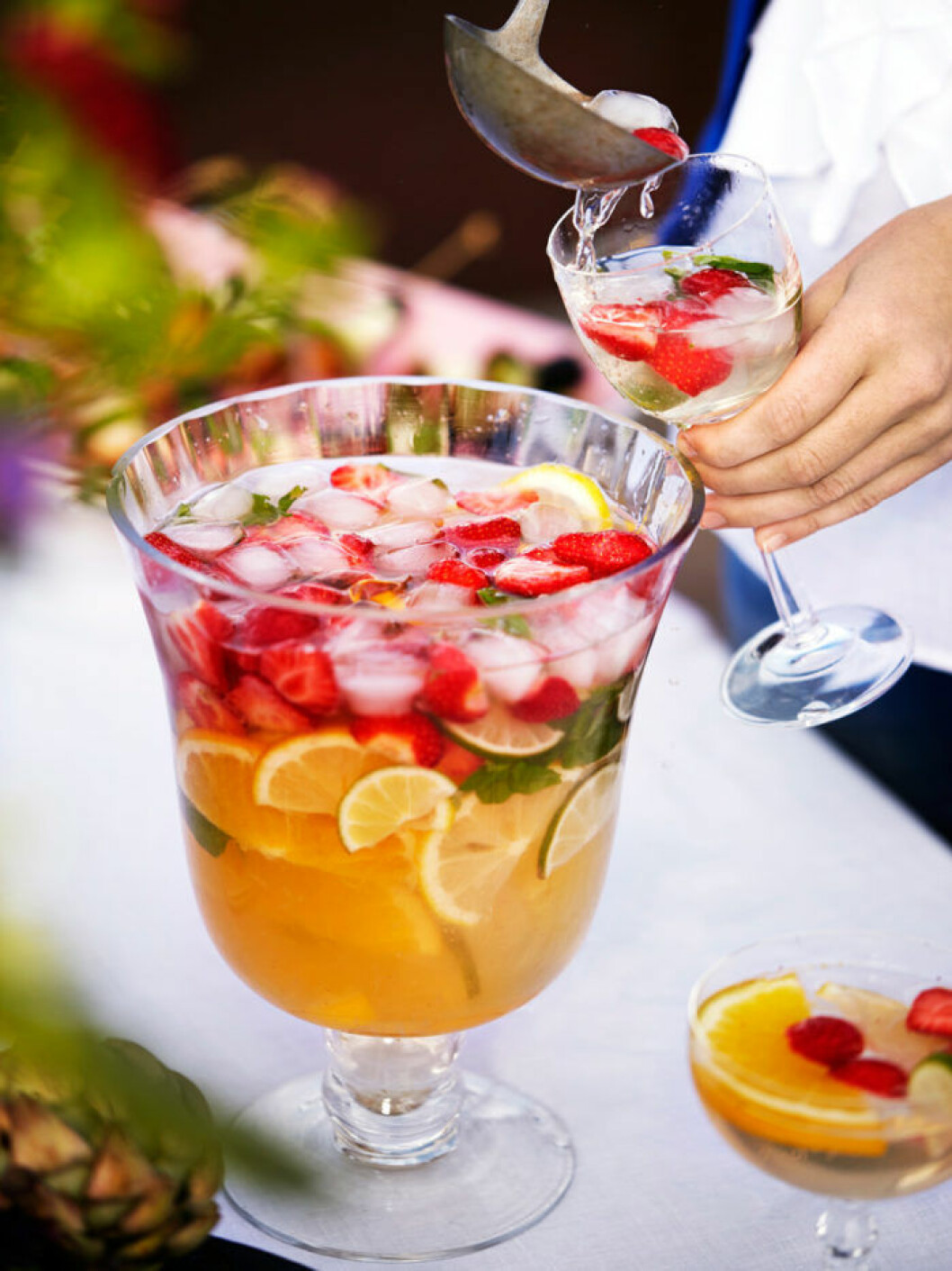 Vit sangria. Vit sangria.