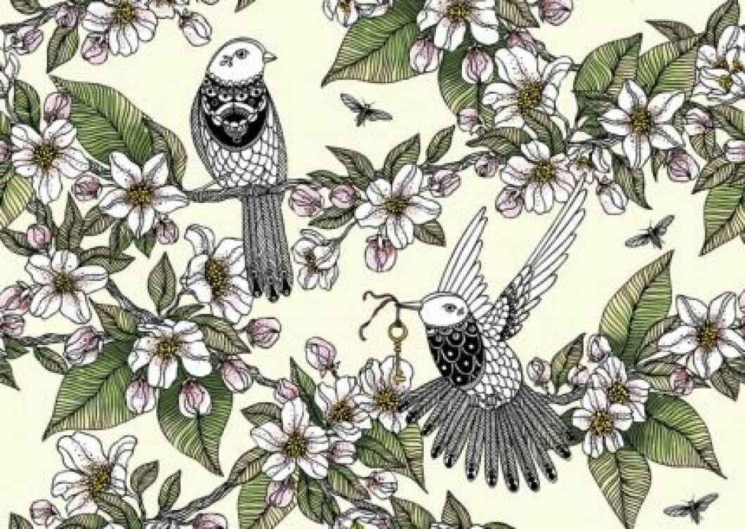 Vykorten med motiv av illustratören Hanna Karlzon är så fina att man kan ge bort dem som små tavlor, 99 kr/4 st, Nordic Design Collective. vykort-hanna-karlzon