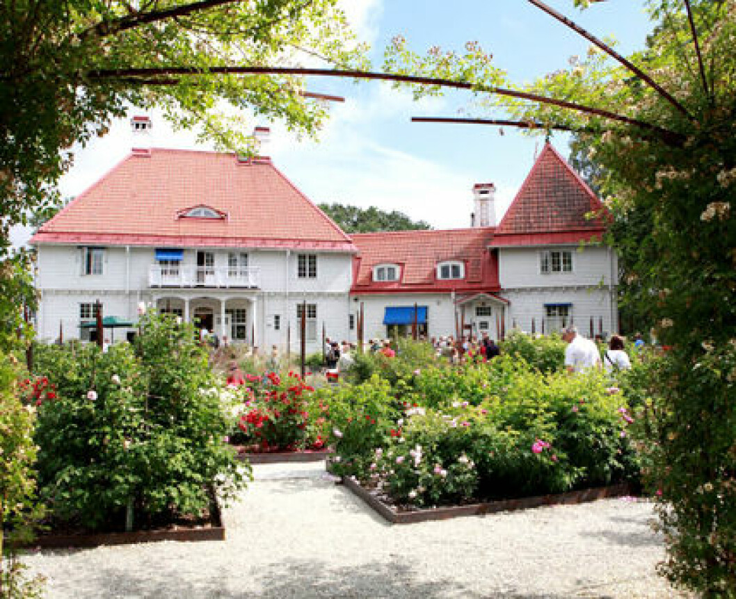 Wij trädgård